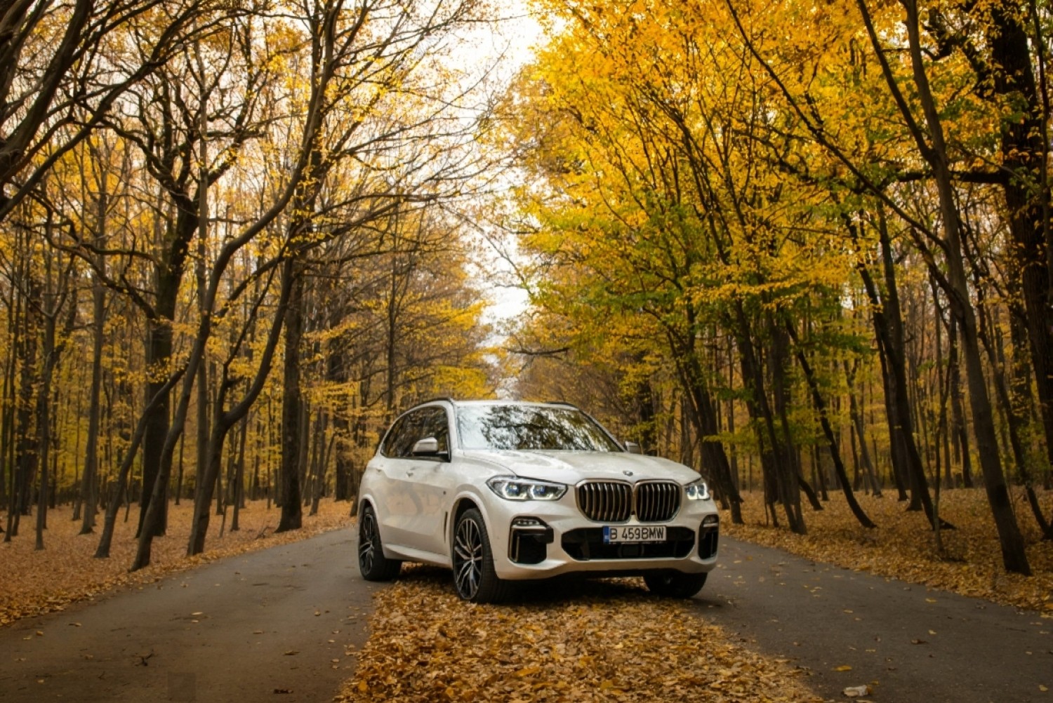 Illustration du contenu