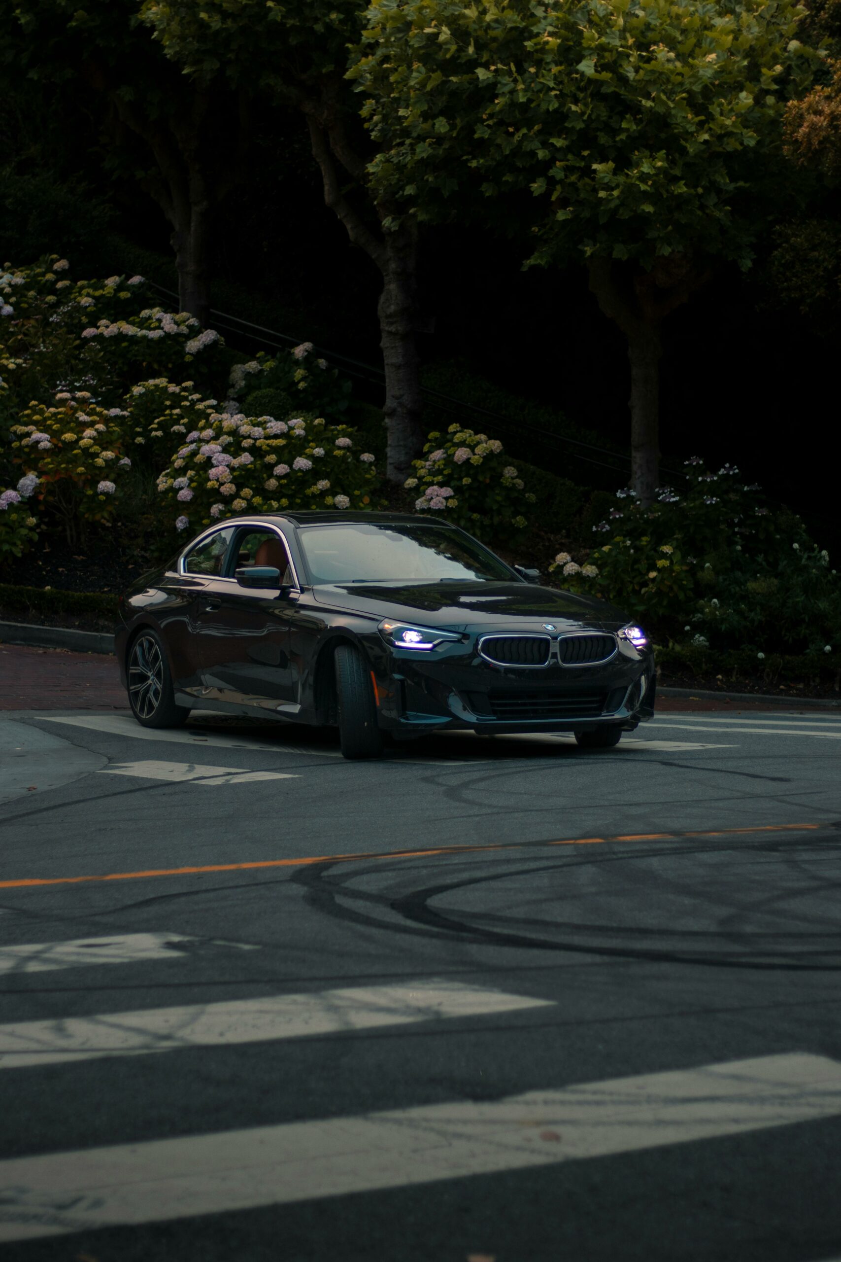 Illustration du contenu